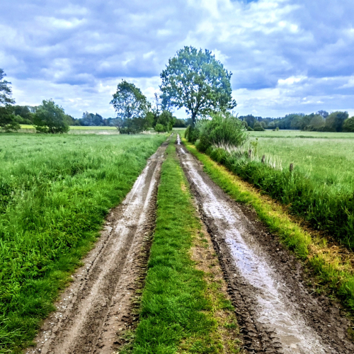 Feldweg