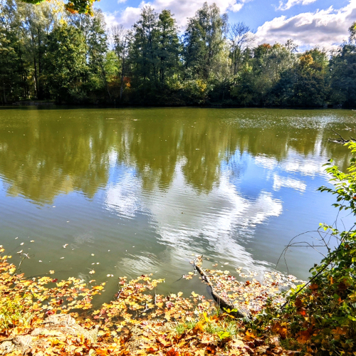 Bustedter See