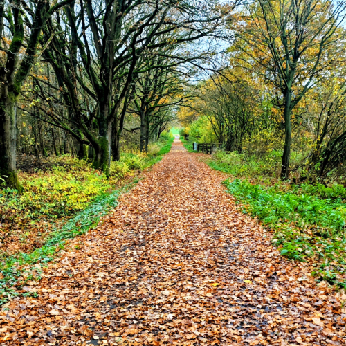 Herbstfahrt