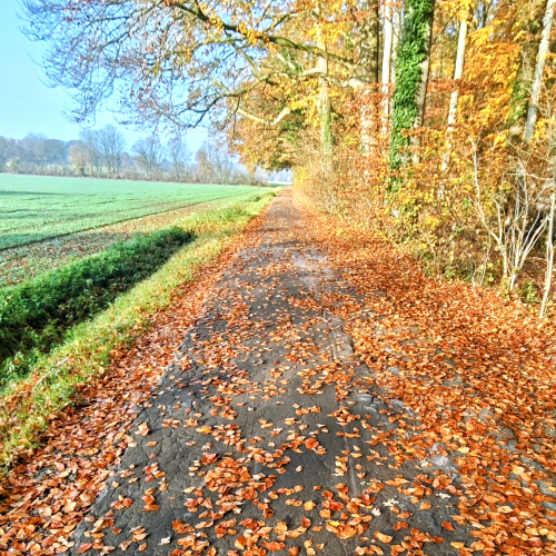 Herbstfahrt