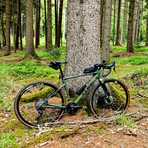 Gravel im Wald