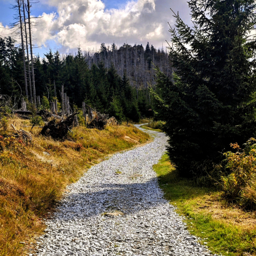 Irgendwo im Harz