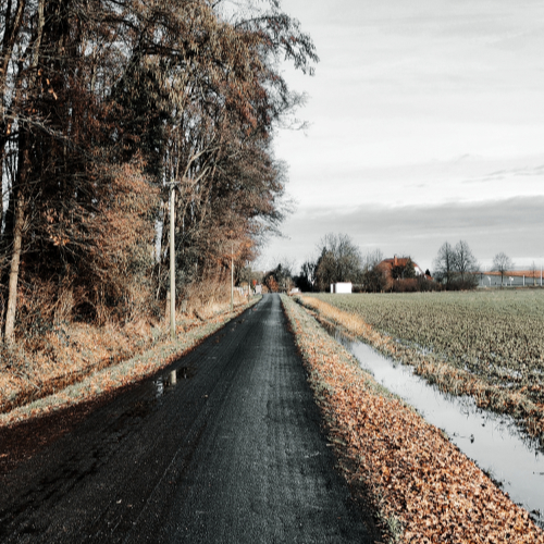 Winter